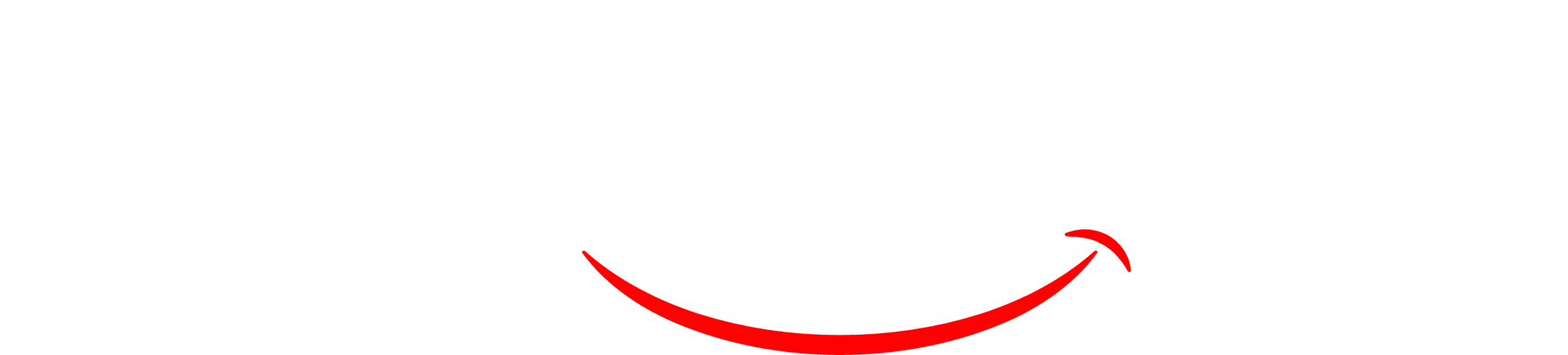 VidZoo