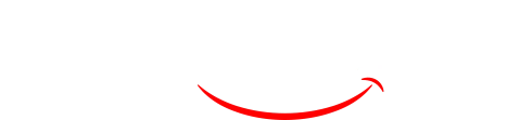 VidZoo